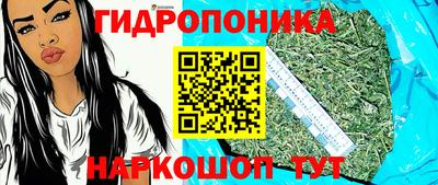 ешки Будённовск